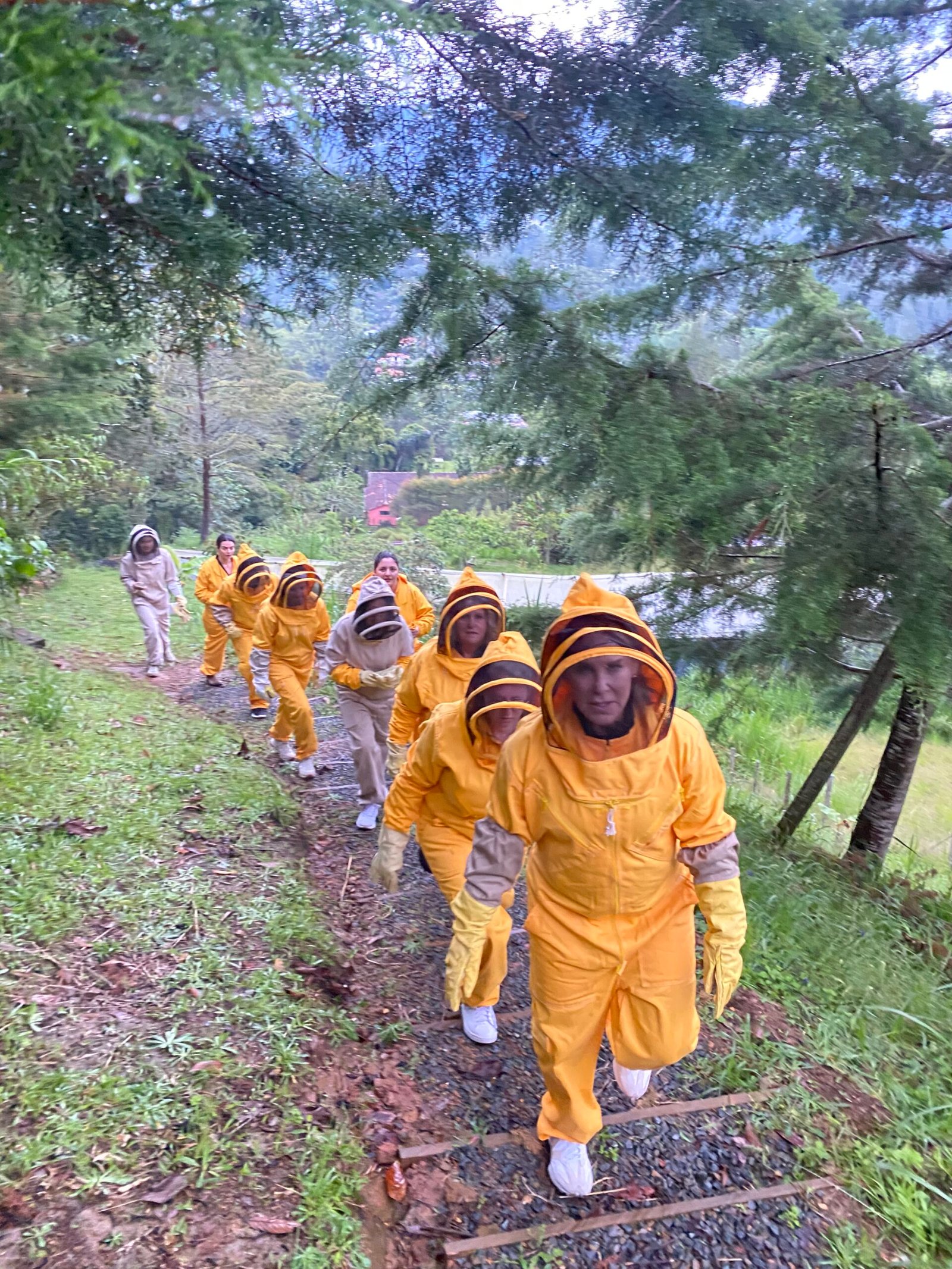 Niña en visita guiada al apiario de Escuela de Abejas en El Retiro, Antioquia