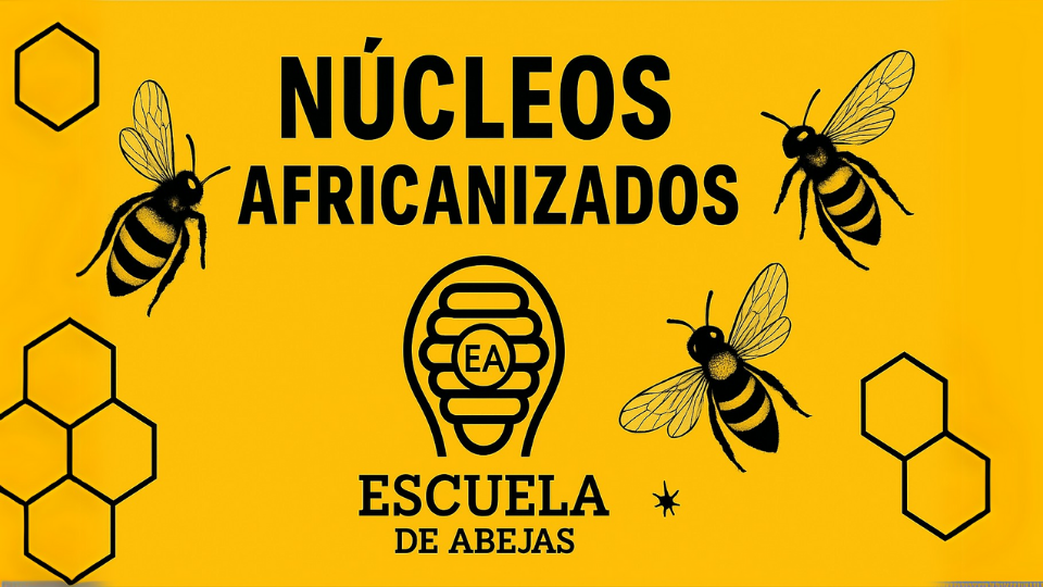 Núcleos Africanizados – Escuela de Abejas