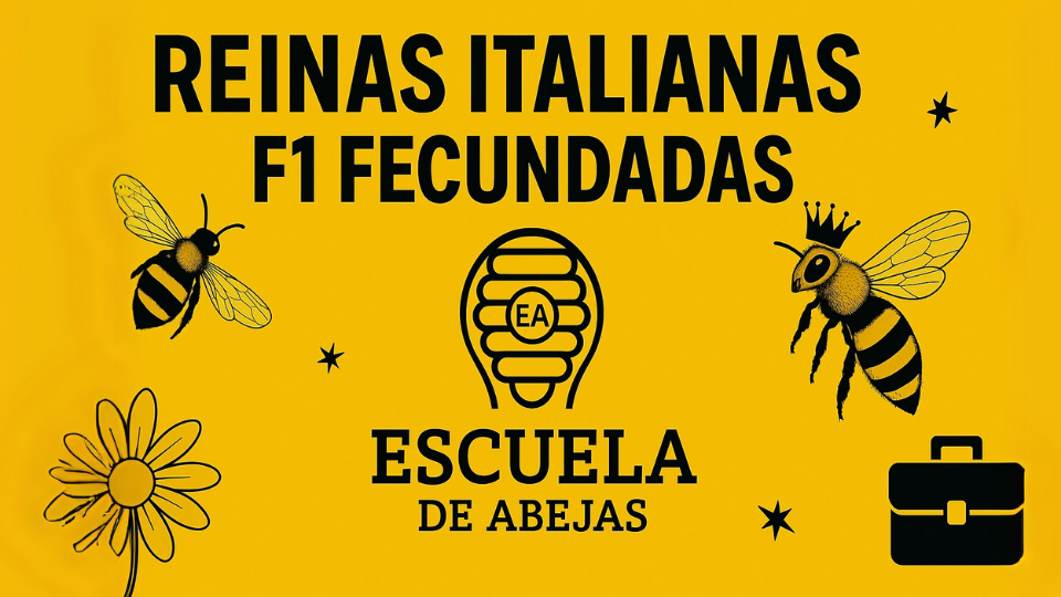 Reinas Italianas F1 Fecundadas – Escuela de Abejas