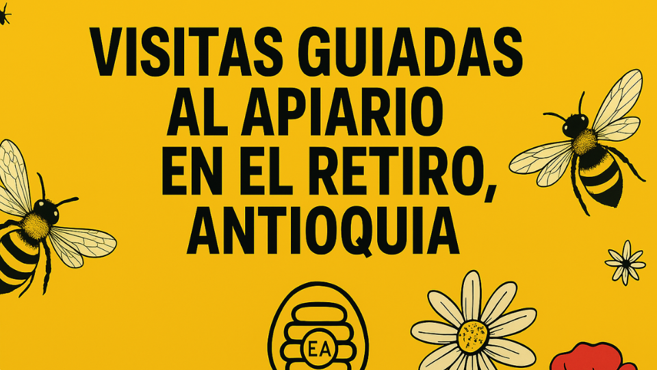 Visitas Guiadas al Apiario en El Retiro – Escuela de Abejas