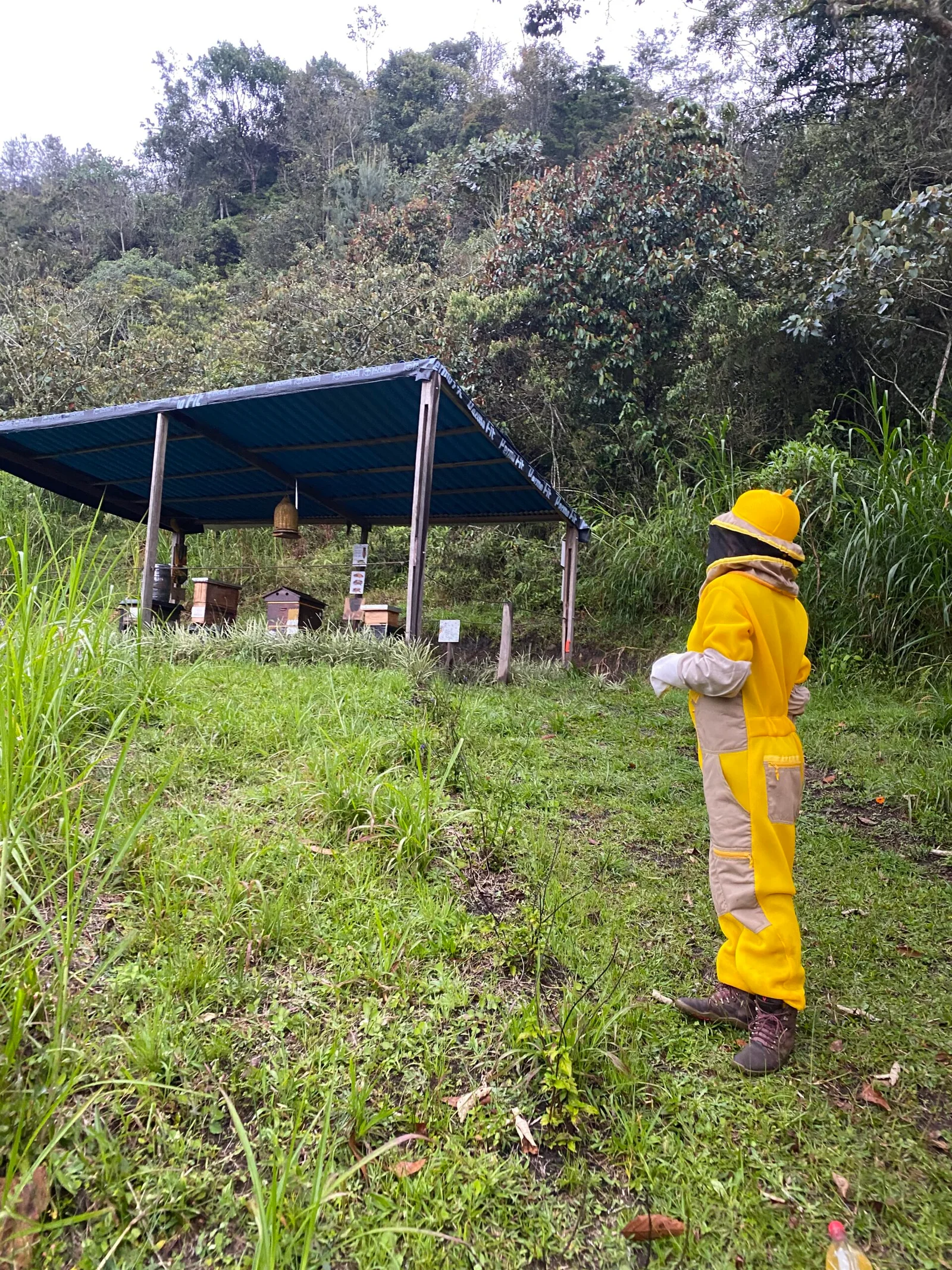 Extracción de cera pura de abejas para subproductos